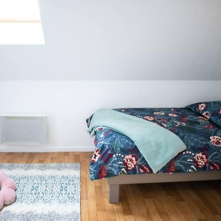 Duplex Tout Equipe, Proche Centre-Ville Colmar, Parking Exteriör bild
