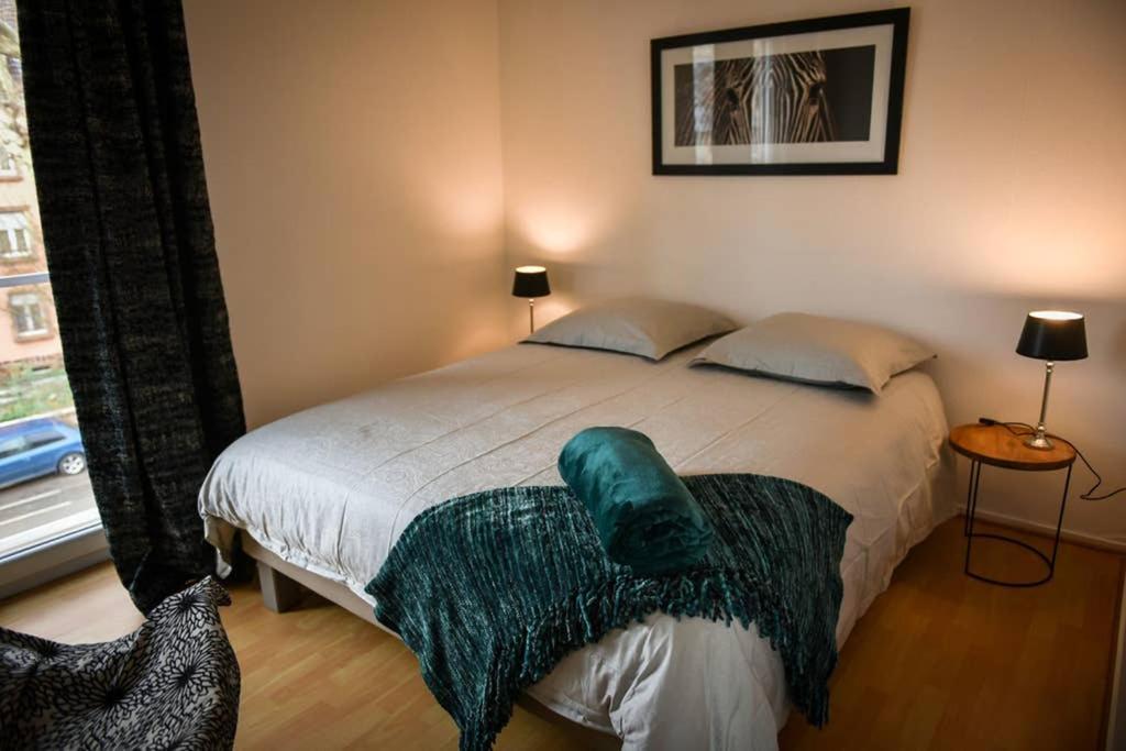 Duplex Tout Equipe, Proche Centre-Ville Colmar, Parking Exteriör bild